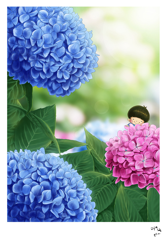 《紫阳花》