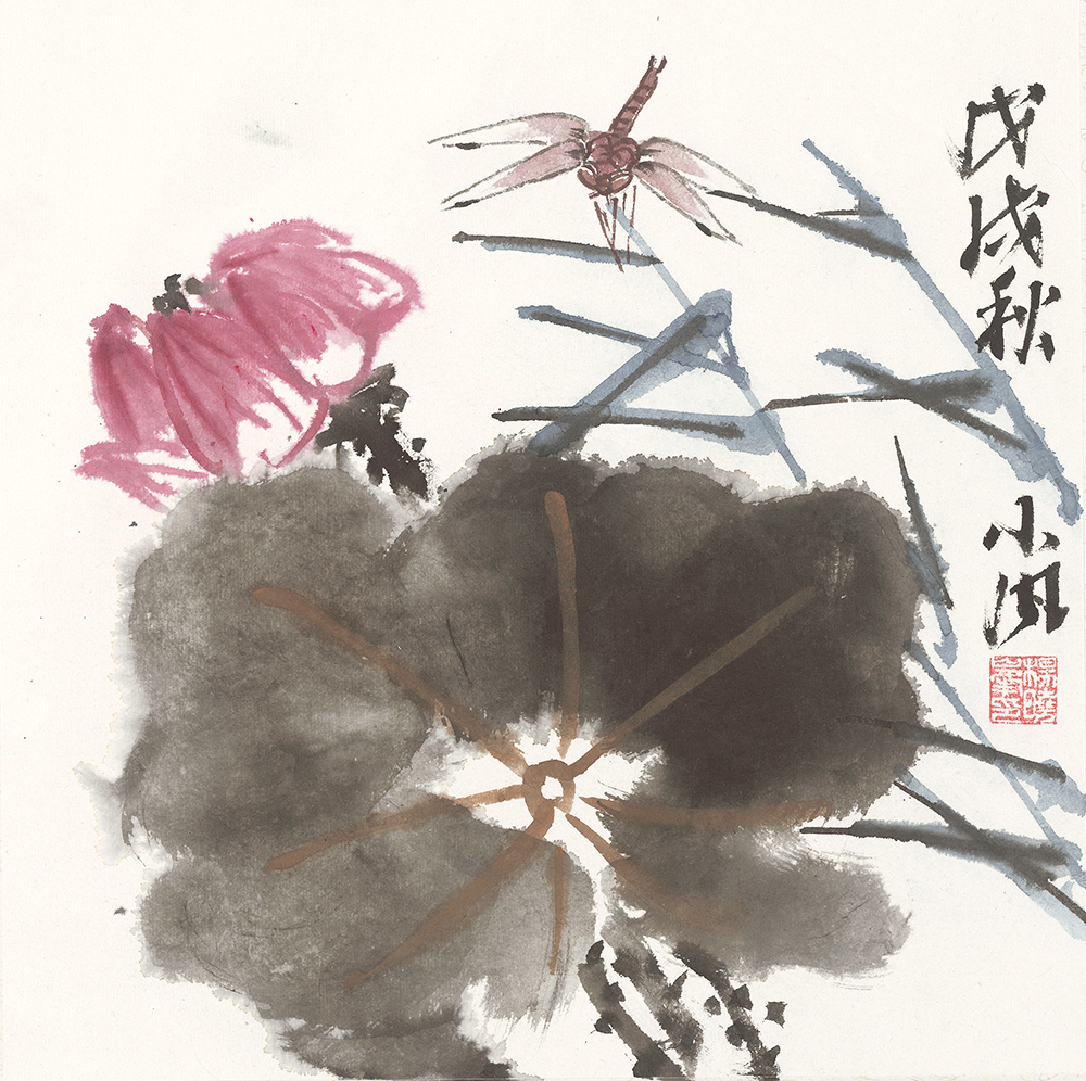 《荷花蜻蜓》